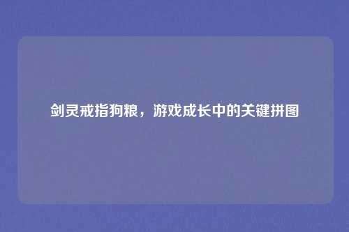 剑灵戒指狗粮，游戏成长中的关键拼图