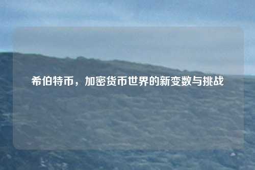 希伯特币，加密货币世界的新变数与挑战