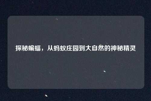 探秘蝙蝠，从蚂蚁庄园到大自然的神秘精灵