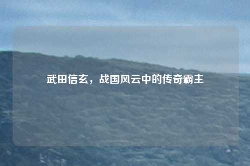 武田信玄，战国风云中的传奇霸主