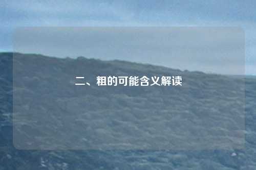 二、粗的可能含义解读