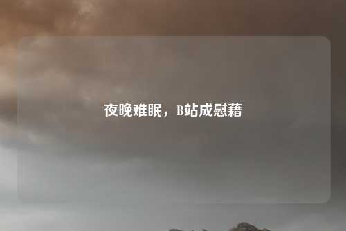 夜晚难眠，B站成慰藉