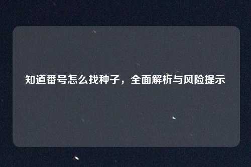 知道番号怎么找种子，全面解析与风险提示