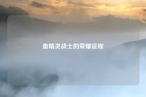 血精灵战士的荣耀征程