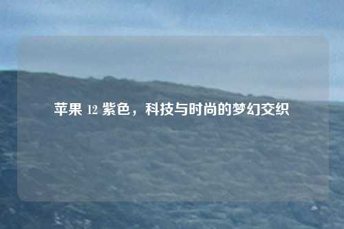 苹果 12 紫色，科技与时尚的梦幻交织