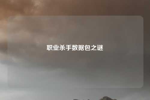 职业杀手数据包之谜