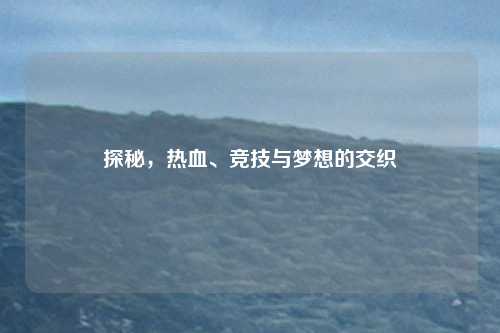 探秘，热血、竞技与梦想的交织