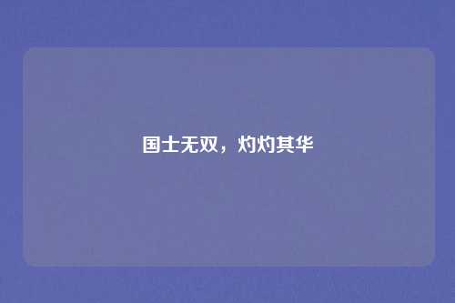 国士无双，灼灼其华