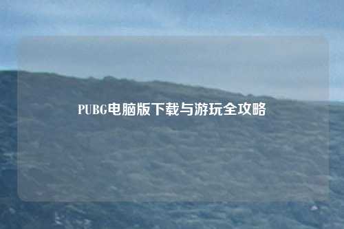 PUBG电脑版下载与游玩全攻略