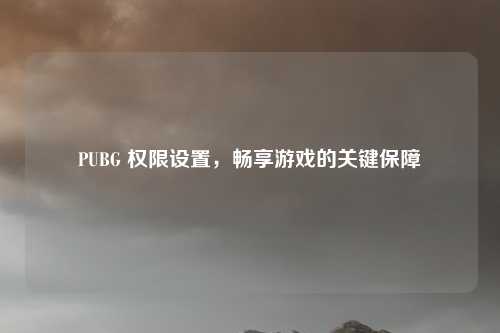PUBG 权限设置，畅享游戏的关键保障