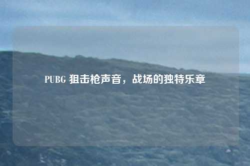 PUBG 狙击枪声音,战场的独特乐章