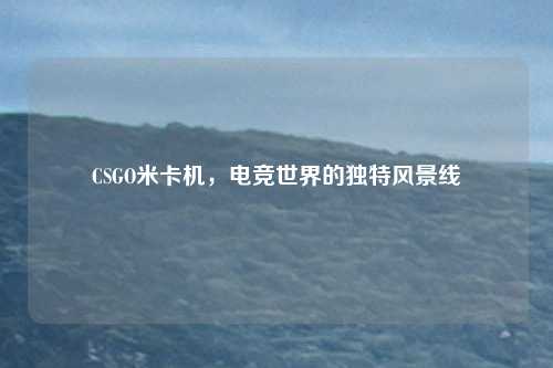 CSGO米卡机,电竞世界的独特风景线