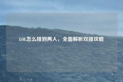 LOL怎么排到两人,全面解析双排攻略