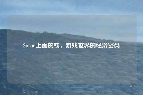Steam上面的钱，游戏世界的经济密码