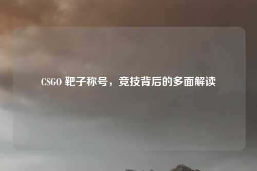 CSGO 靶子称号,竞技背后的多面解读