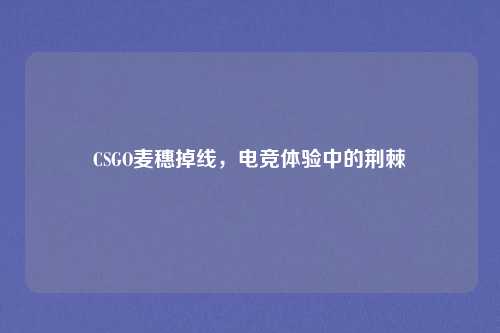 CSGO麦穗掉线,电竞体验中的荆棘