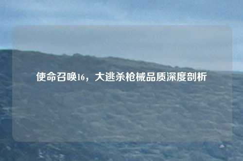 使命召唤16，大逃杀枪械品质深度剖析