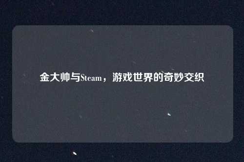 金大帅与Steam，游戏世界的奇妙交织