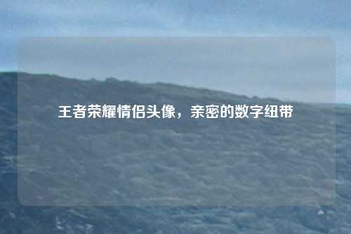 王者荣耀情侣头像,亲密的数字纽带