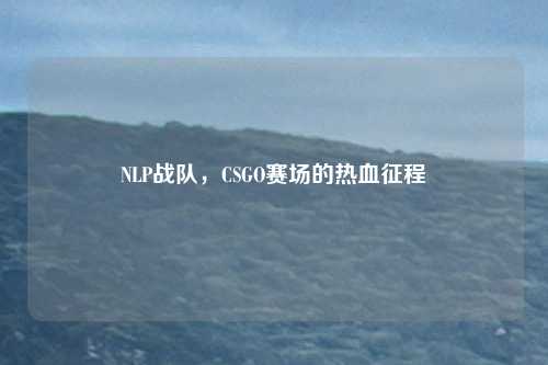 NLP战队,CSGO赛场的热血征程