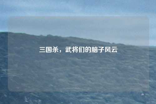 三国杀,武将们的脑子风云