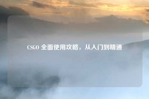 CSGO 全面使用攻略,从入门到精通