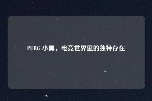 PUBG 小黑，电竞世界里的独特存在