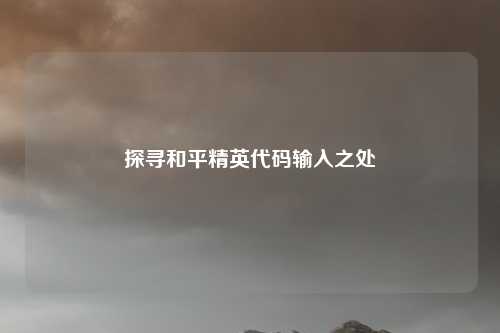 探寻和平精英代码输入之处