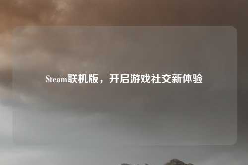 Steam联机版,开启游戏社交新体验