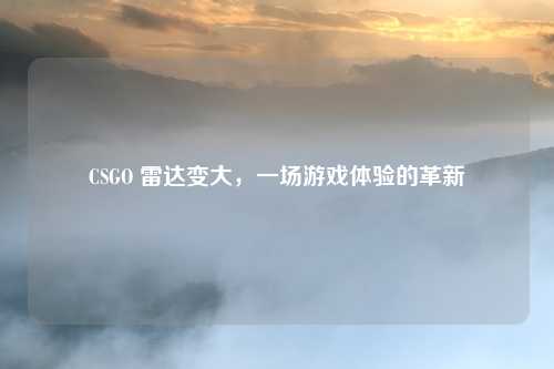 CSGO 雷达变大，一场游戏体验的革新