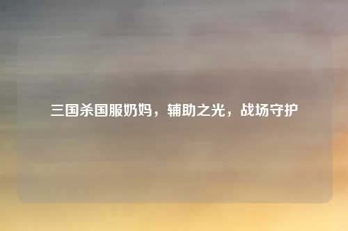 三国杀国服奶妈，辅助之光，战场守护