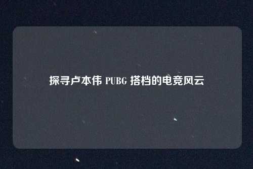 探寻卢本伟 PUBG 搭档的电竞风云