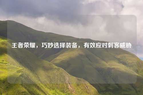 王者荣耀，巧妙选择装备，有效应对刺客威胁