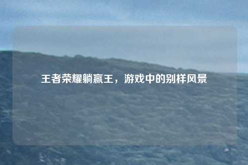王者荣耀躺赢王，游戏中的别样风景