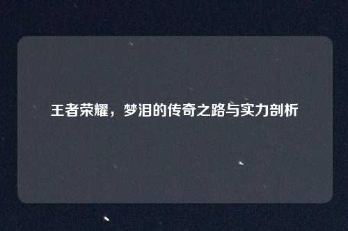 王者荣耀,梦泪的传奇之路与实力剖析