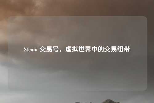 Steam 交易号，虚拟世界中的交易纽带