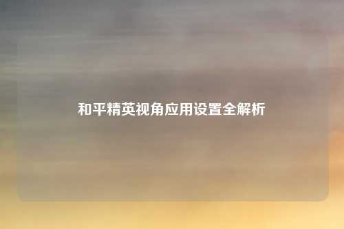 和平精英视角应用设置全解析