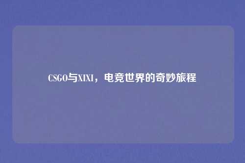 CSGO与XIXI,电竞世界的奇妙旅程