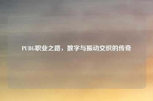 PUBG职业之路，数字与振动交织的传奇