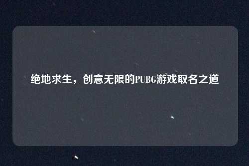 绝地求生，创意无限的PUBG游戏取名之道
