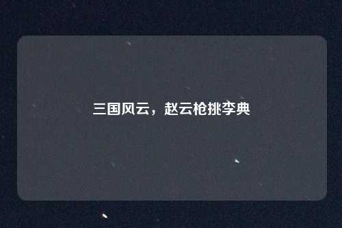 三国风云，赵云枪挑李典