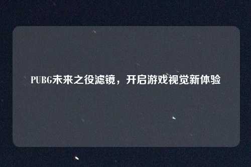 PUBG未来之役滤镜，开启游戏视觉新体验